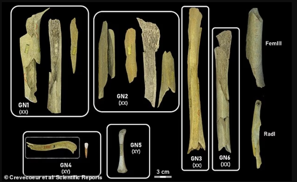 Жуткий ужин 45 000 лет назад: могли ли наши предки пировать детьми неандертальцев